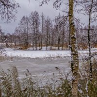 Первый снег в Подмосковье 5. :: Андрей Дворников