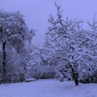 В саду :: Людмила Смородинская