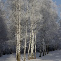 Начало зимы :: Olenka 