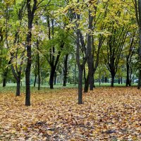 Осенний парк в Херсоне :: Алексей Р.