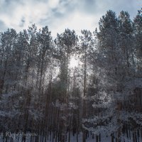 Вот так выглядела весна 17.03.2010 года :: Анатолий Клепешнёв