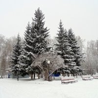 Городской пейзаж в снегопад . :: Мила Бовкун