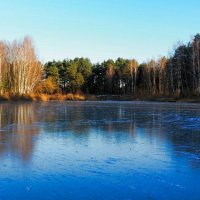 Озеро в декабре (из поездок по области). :: Милешкин Владимир Алексеевич 