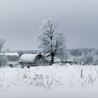 Зима в деревне :: Влад Чуев