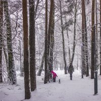 тихо падал снег :: Петр Беляков
