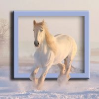 Белая лошадь зимой :: Любовь ***