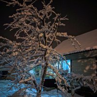 Зима пришла ночью. :: Казимир Буйвис