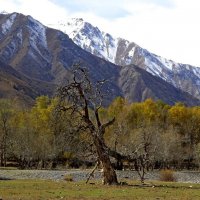 ДОЛИНА ОЙГАИНГА. :: Виктор Осипчук