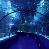 Подводный тунель :: Наталья Т