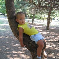 Мой внук, любитель лазить по деревьям. :: Юрий Тихонов