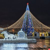 Новогодняя ёлка на Соборной площади Белгорода - 2021. :: Игорь Сарапулов