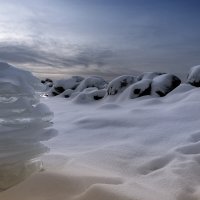 На Обском море. :: Александр Гурьянов