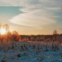 Зимнее утро :: Анатолий Мо Ка