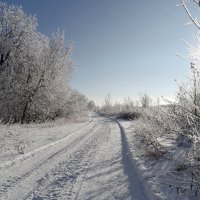 По дорогам зимы... :: Андрей Заломленков