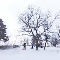 На берегу Волги зимой :: Raduzka (Надежда Веркина)