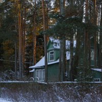 В тени, среди сосен стройных... :: Юрий Куликов