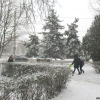 Ростовский снегопад :: Нина Бутко
