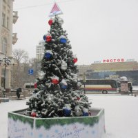 Университетская ёлка, одна из многих в Ростове... :: Нина Бутко