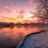 Утро в зимнем парке :: Валерий Иванович