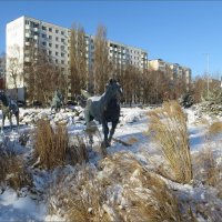 Степь в снегу, ковыль-трава, табун, кони... кусочек вольницы в городе...! :: Татьяна Смоляниченко