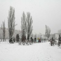 Один лишь день была зима снежная, настоящая...) :: Тамара Бедай 