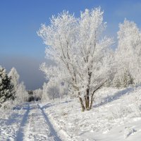 Дорог нет - есть направление) :: Владимир Звягин