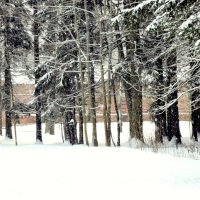 В парке прошёл снег - 1 :: Сергей 