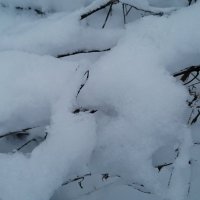Снегопад :: Митя Дмитрий Митя