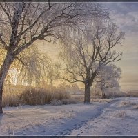 Зимний рассвет. :: Людмила 