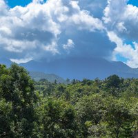 В горах на Бали... :: Владимир Жданов
