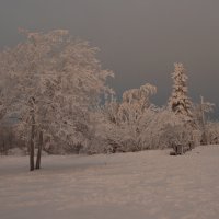 Зима рисует только белой краской... :: Galina Serebrennikova