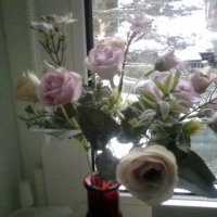 розовые цветы :: миша горбачев