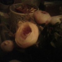 цветы :: миша горбачев