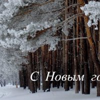 С Новым годом! :: Сергей Кузнецов