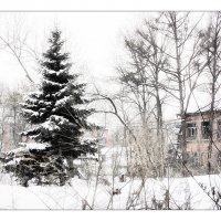 Снег в городе К. :: Людмила Фил