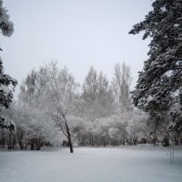 Очарование зимы... :: Анна Суханова