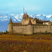 Castle Aigle :: Elena Wymann