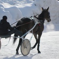 Ой, мороз, мороз, Не морозь меня. Не морозь меня, Моего коня... :: Галина 