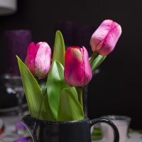 Тюльпаны :: Oleg S 