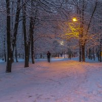 В Вечернем Парке :: юрий поляков