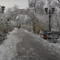 Зимний парк :: Роман Савоцкий
