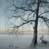 Зимняя картина.... :: Анна Суханова