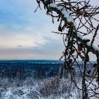 Фото :: Мария Яковлева