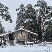 Резиденция Кикиморы вятской, персонажа сказок :: Надежда Шубина