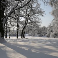 Зима :: ZNatasha -