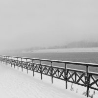 Туманный зимний день :: Владимир _