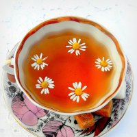 Чай с кем попало не пьют..Чай -это личное..Особенно с ромашками! :: TAMARA КАДАНОВА