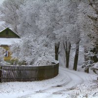 Первый снег :: Сергей Даденков 