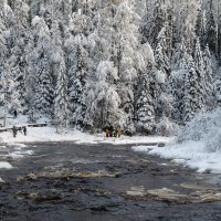 Природный заказник «Линдуловская роща» :: skijumper Иванов