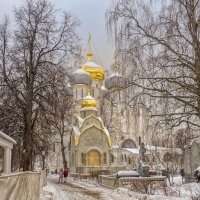 новодевичий монастырь, январь 2021 :: Александр Шурпаков